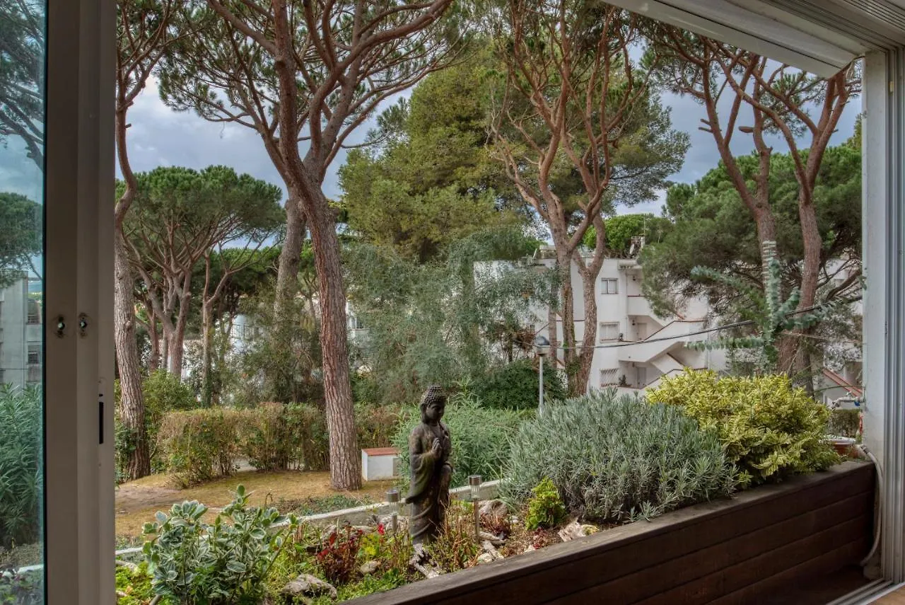 아파트 Lliris Apartament Amb Encant Per 4 Persones A 10 Minuts De La Platja I Del Centre De 플라티야 다로